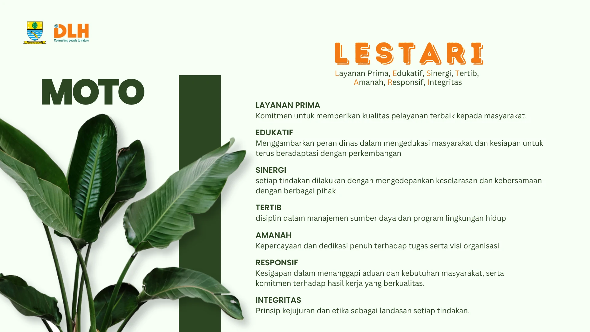 dbf62f0b-d8b8-458c-92d2-6128632c9403.webp